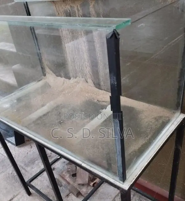 Fish Tank with Accessories