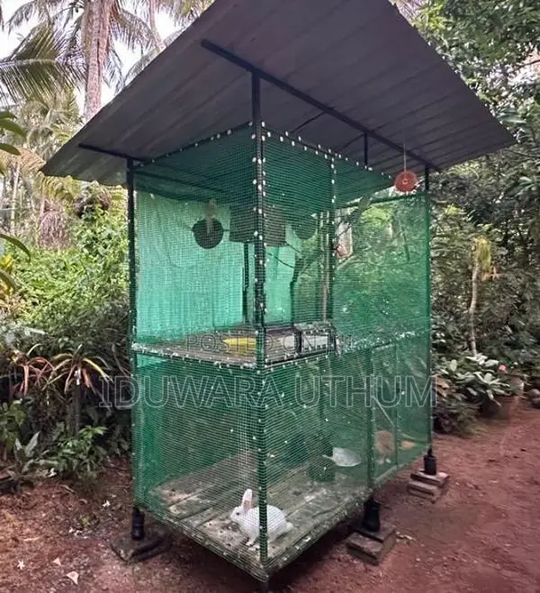 Bird Cages