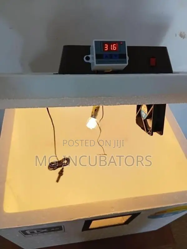 Egg Incubator