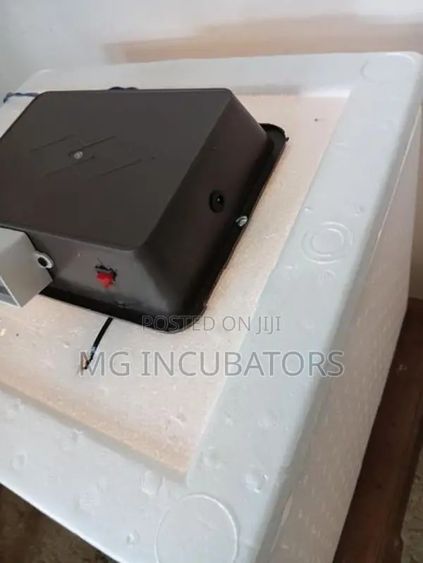 Egg Incubator