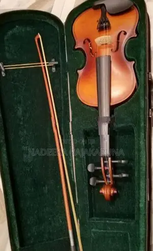 Violin