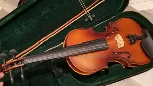 Violin