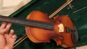 Violin