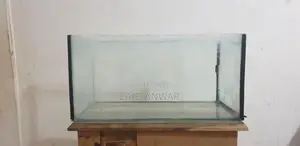 Fish Tank 24×12 Inches