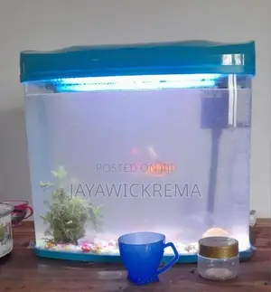 fish Tank