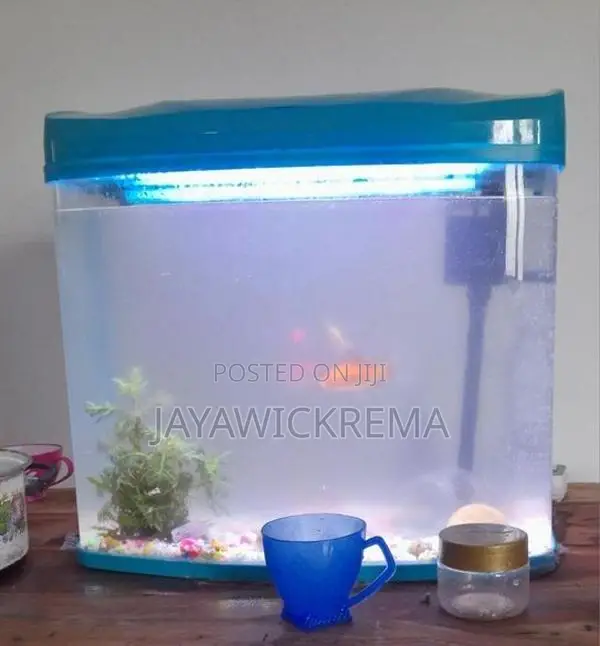 fish Tank