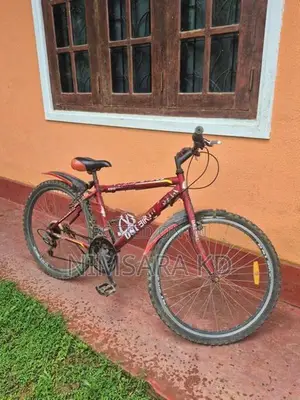 Bicycle