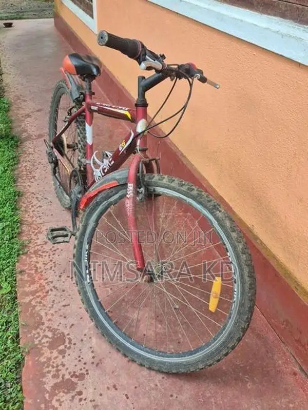 Bicycle