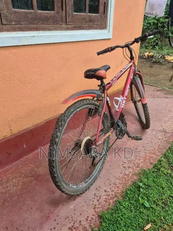 Bicycle