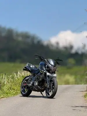 Bajaj Pulsar NS200 BS4 2017