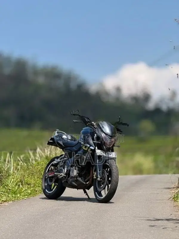 Bajaj Pulsar NS200 BS4 2017