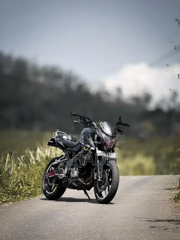 Bajaj Pulsar NS200 BS4 2017