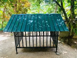 Dog Cage