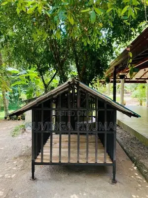 Dog Cage