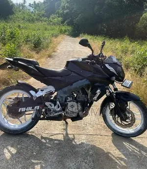 Bajaj Pulsar NS200 2013
