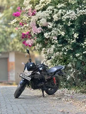 Honda Twister 2018