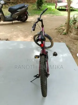 Bicycle
