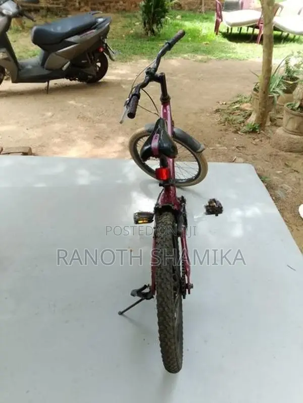Bicycle
