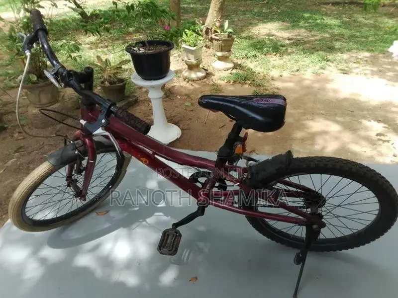 Bicycle