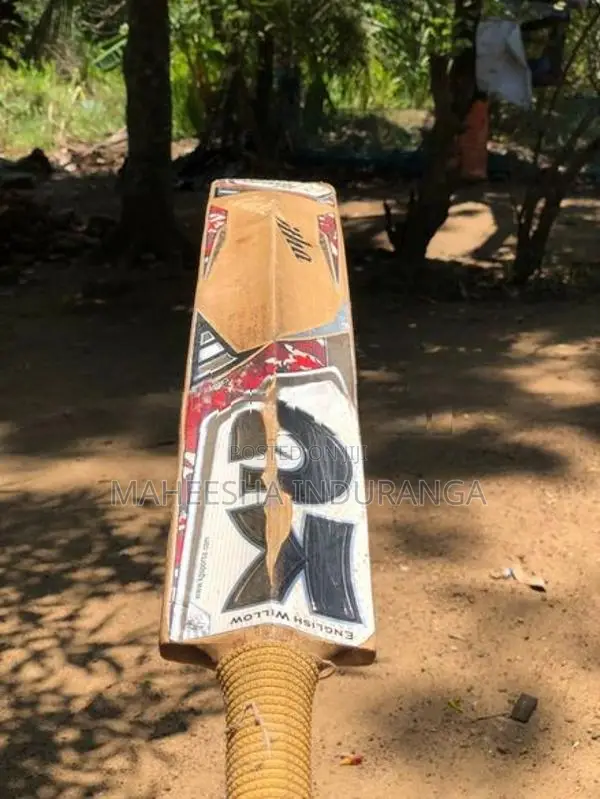 Leather Bat