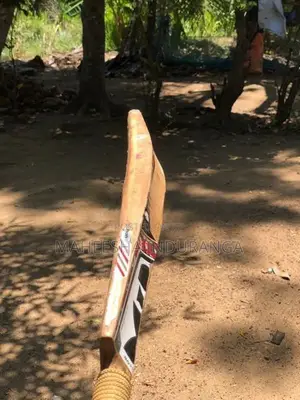 Leather Bat