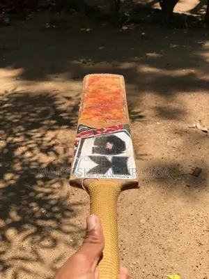 Leather Bat