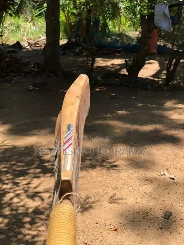 Leather Bat