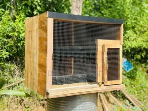 Pigeon Cage