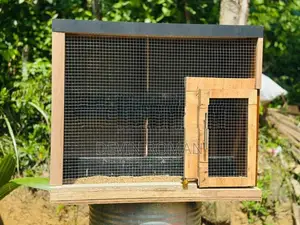 Pigeon Cage
