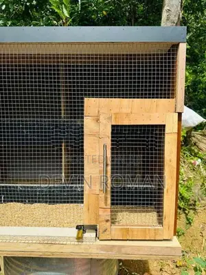 Pigeon Cage