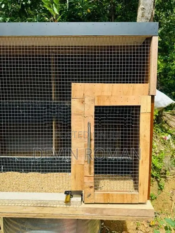 Pigeon Cage