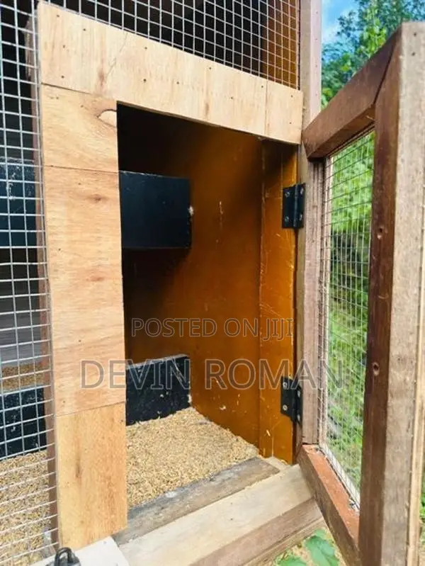 Pigeon Cage