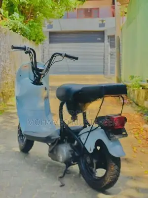 Suzuki Choi Nori 2021