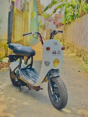Suzuki Choi Nori 2021