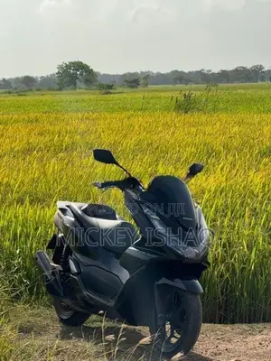 Honda PCX 2024