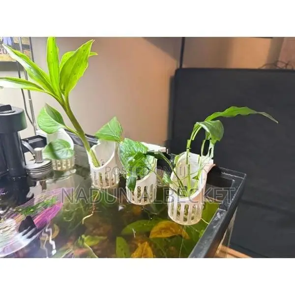 Fish Tank Plant Holder