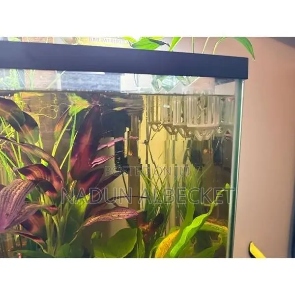 Fish Tank Plant Holder