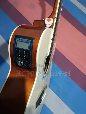Robinson Guitar