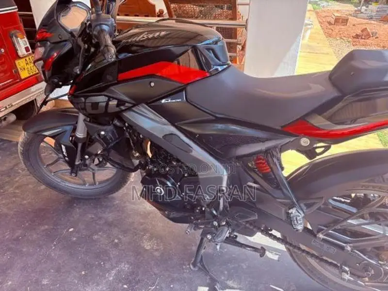 Bajaj Pulsar NS200 2025