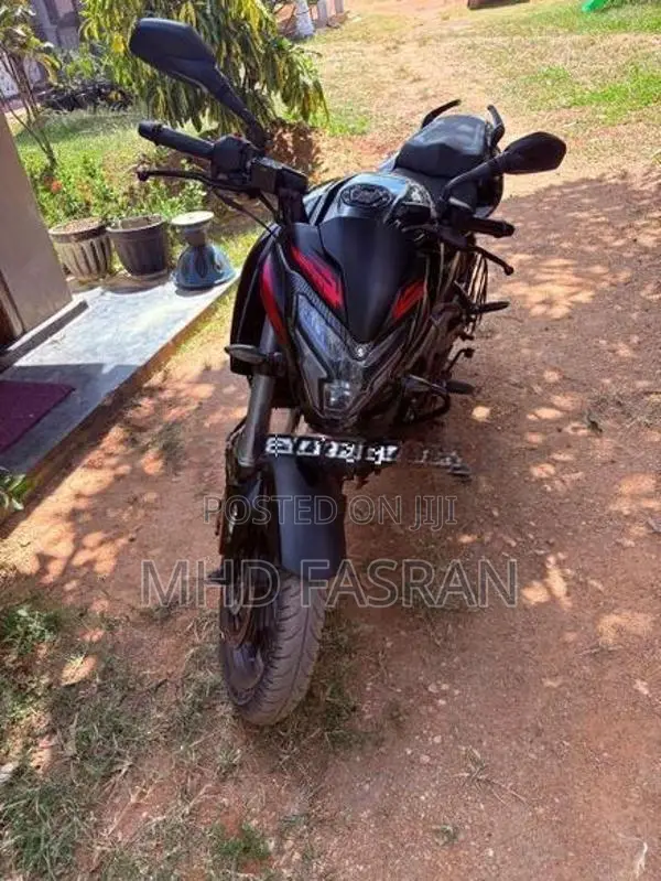 Bajaj Pulsar NS200 2025