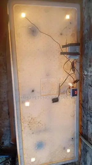 200 Egg Incubator