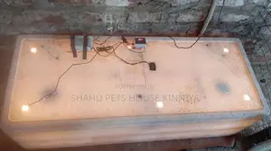 200 Egg Incubator