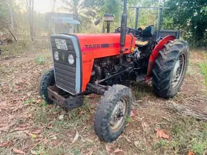 TAFE D45 2019 Tractor (Used)