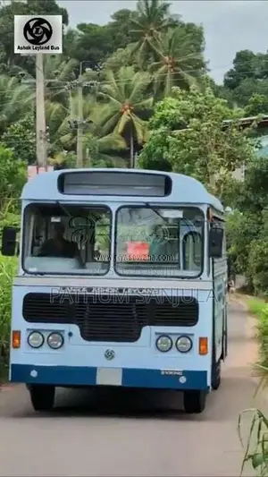 Ashok-Leyland Viking 2025 Bus (Used)