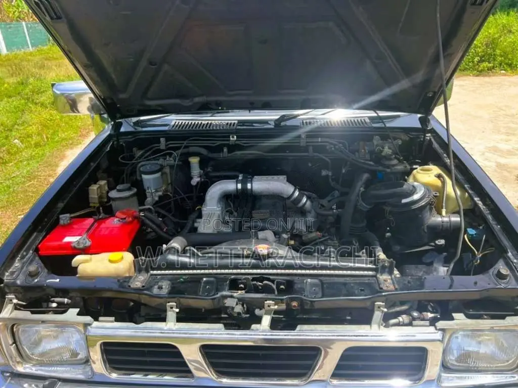 Nissan D21 1985 Pickup (Used)