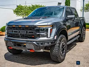 Ford Raptor 2017 Pickup (Used)