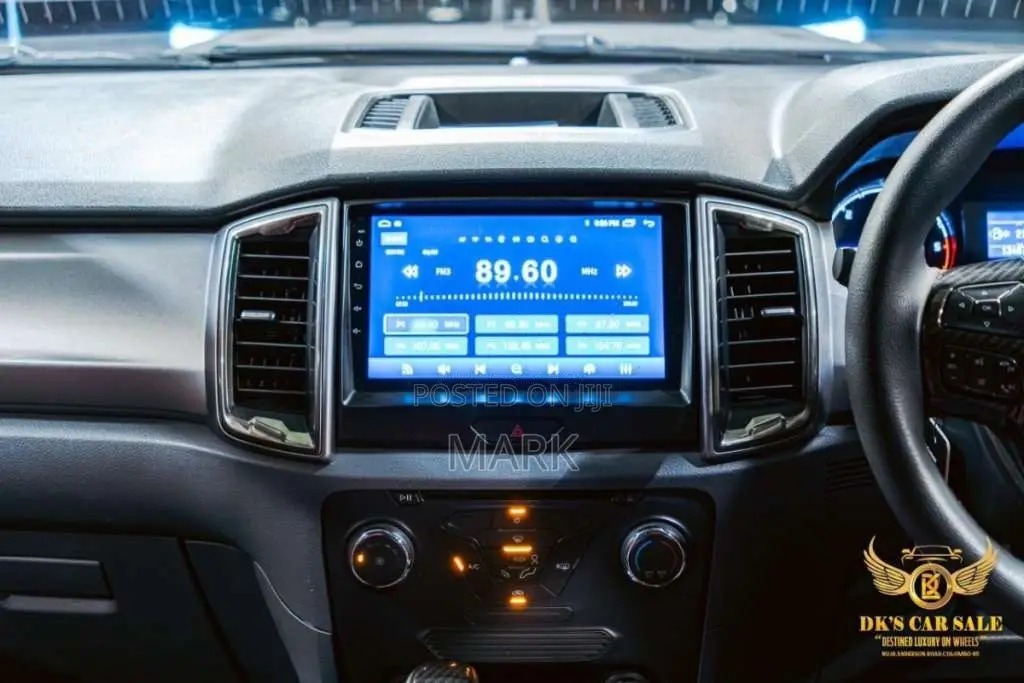 Ford Raptor 2017 Pickup (Used)