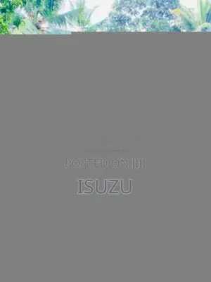 Isuzu Single Wheel 4be1 1987 Lorry (Used)