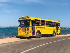 Ashok-Leyland Viking 2004 Bus (Used)