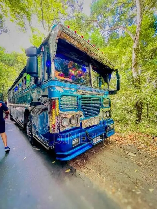 Ashok-Leyland Viking 2011 Bus (Used)
